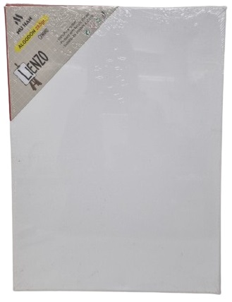 לוח קנווס 20X30 ס"מ